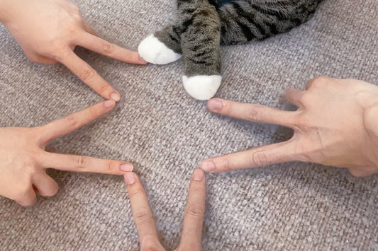 How Much Hair or Ashes Do I Need for a Pet Memorial Necklace?