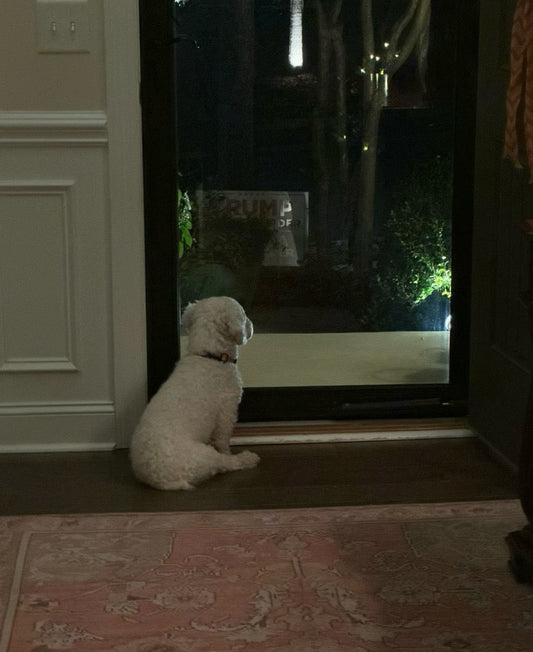 Here, we don't “move on.” We learn to carry love forward.