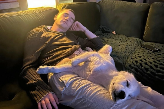 5 Meaningful Ways to Honor Your Pet's Memory at Home