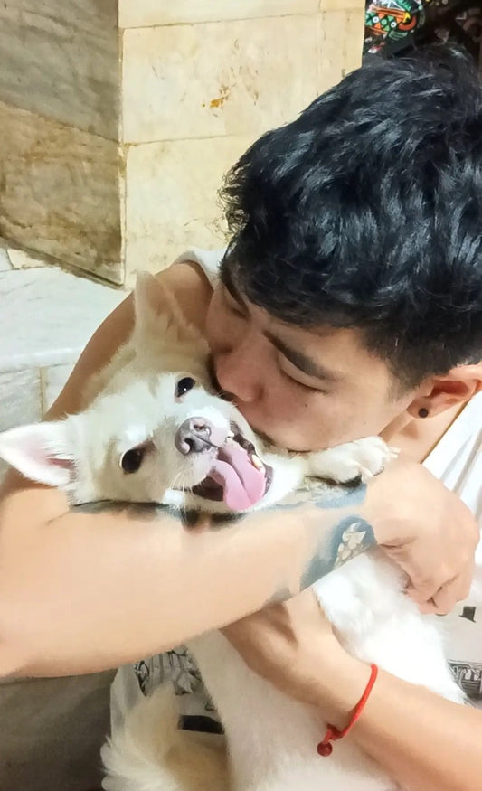 What to Do With Pet Ashes: Practical Choices, Emotional Trade-Offs, and What Most Guides Miss