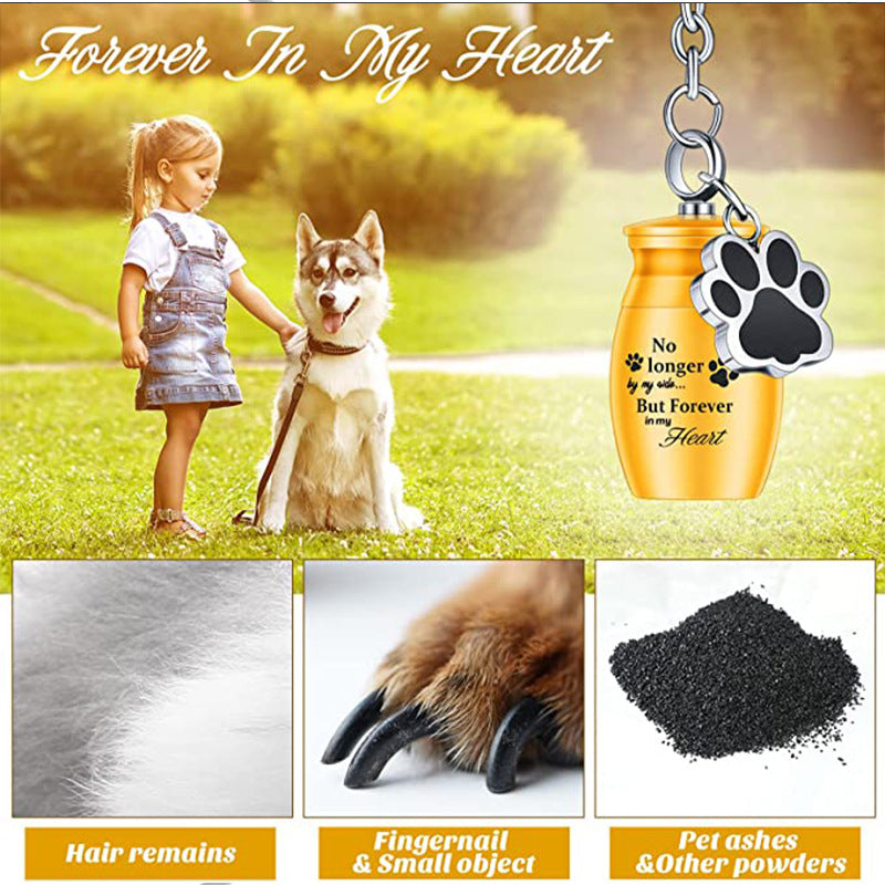 Paw Print Keepsake Keychain  A Portable Memorial for Your Beloved Pet